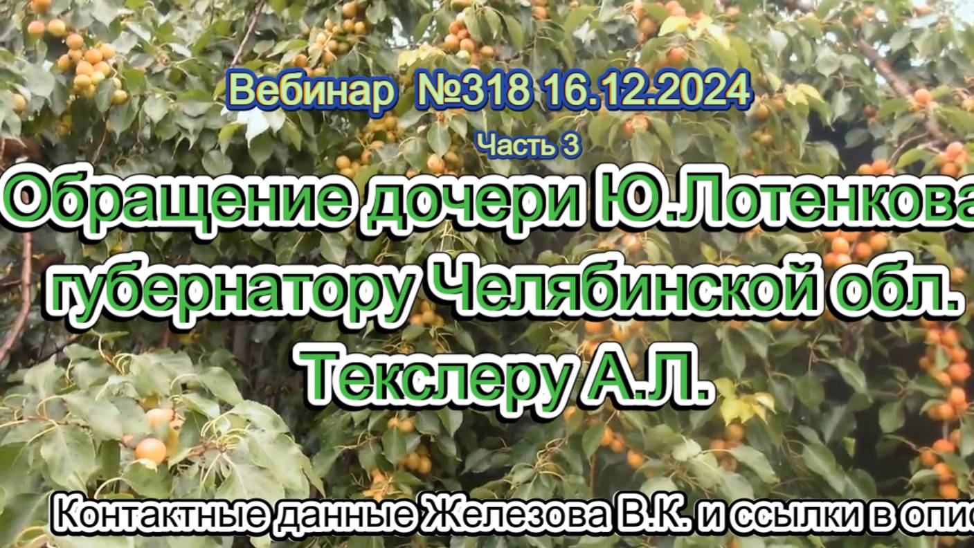 Железов Валерий. Вебинар 318. ч.3. Обращение дочери Ю.Лотенкова губернатору Челябинской обл. Текслер