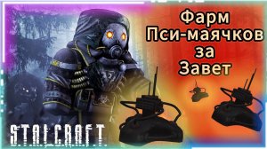 Фарм Пми-маячков за Завет | STALCRAFT: X |#stalcraftx