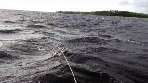 Озеро Высокенское 2024.wmv