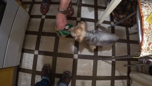 От мужчин нет отбоя  / Борис шутит / Женькино счастье 3 декабря 2022 г.