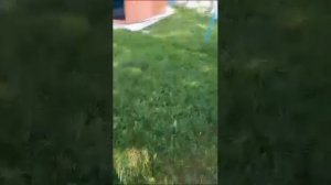 Дом в с.Усть-Козлуха Краснощековского района Алтайского края