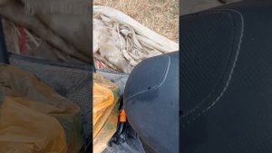 ловля мидии в Крыму 24 июля 2024 г.