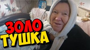 ЗОЛОТУШКА . ПОМЕРИЛА ЛИ СВЯТАЯ ДАВЛЕНИЕ ЗОЛОТУШКИ ." БЫТЬ ДОБРУ "