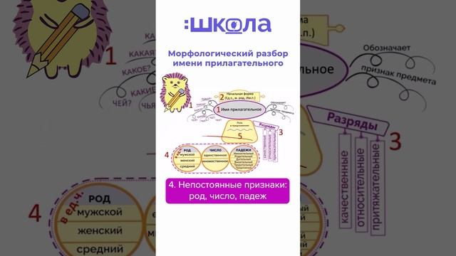 морфологический разбор имени прилагательного 2 часть