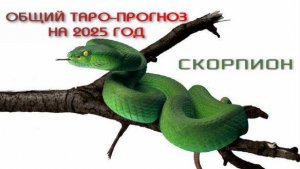 СКОРПИОН ОБЩИЙ ТАРО-ПРОГНОЗ НА 2025 ГОД