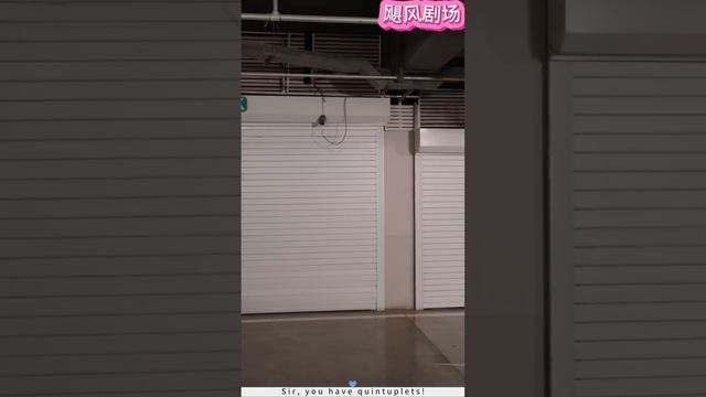 Full Movie | 霸总和灰姑娘激情一夜后不辞而别！多年后五胞胎找到霸总代替母亲教训他！ 💕 中国电视剧