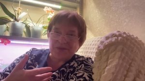 В салоне / Новая стрижка / Моя маленькая тайна / Просьба к зрителям 14 ноября 2023 г.