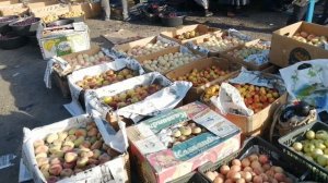 РЕГАР МЕВА БОЗОРИ