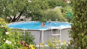 Долгожданный дождь / В парник больше ни ногой  / Всё в орхидеях и огурцах  15 июля 2021 г.