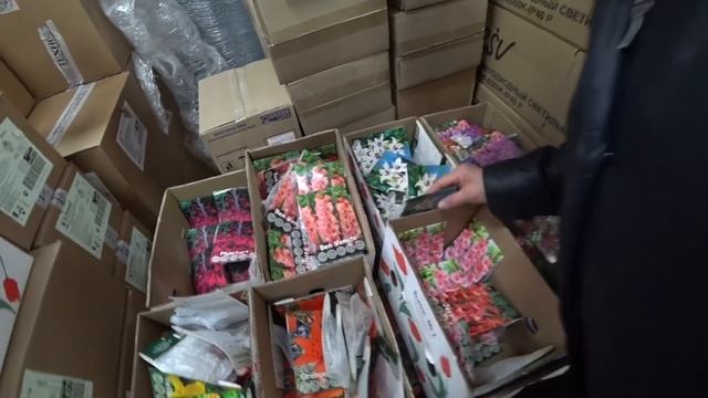 С праздником мой дорогой богатырь / Весенние подлёдные рыбки / Светофор 22-23 февраля 2022 г.