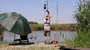 Рыбалка на флэт фидер, тут и сазан и карп, хороший клёв рыбы, уловистая снасть