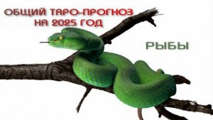 РЫБЫ ОБЩИЦ ТАРО-ПРОГНОЗ НА 2025 ГОД