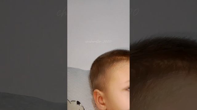 Встретили Картун Кэта