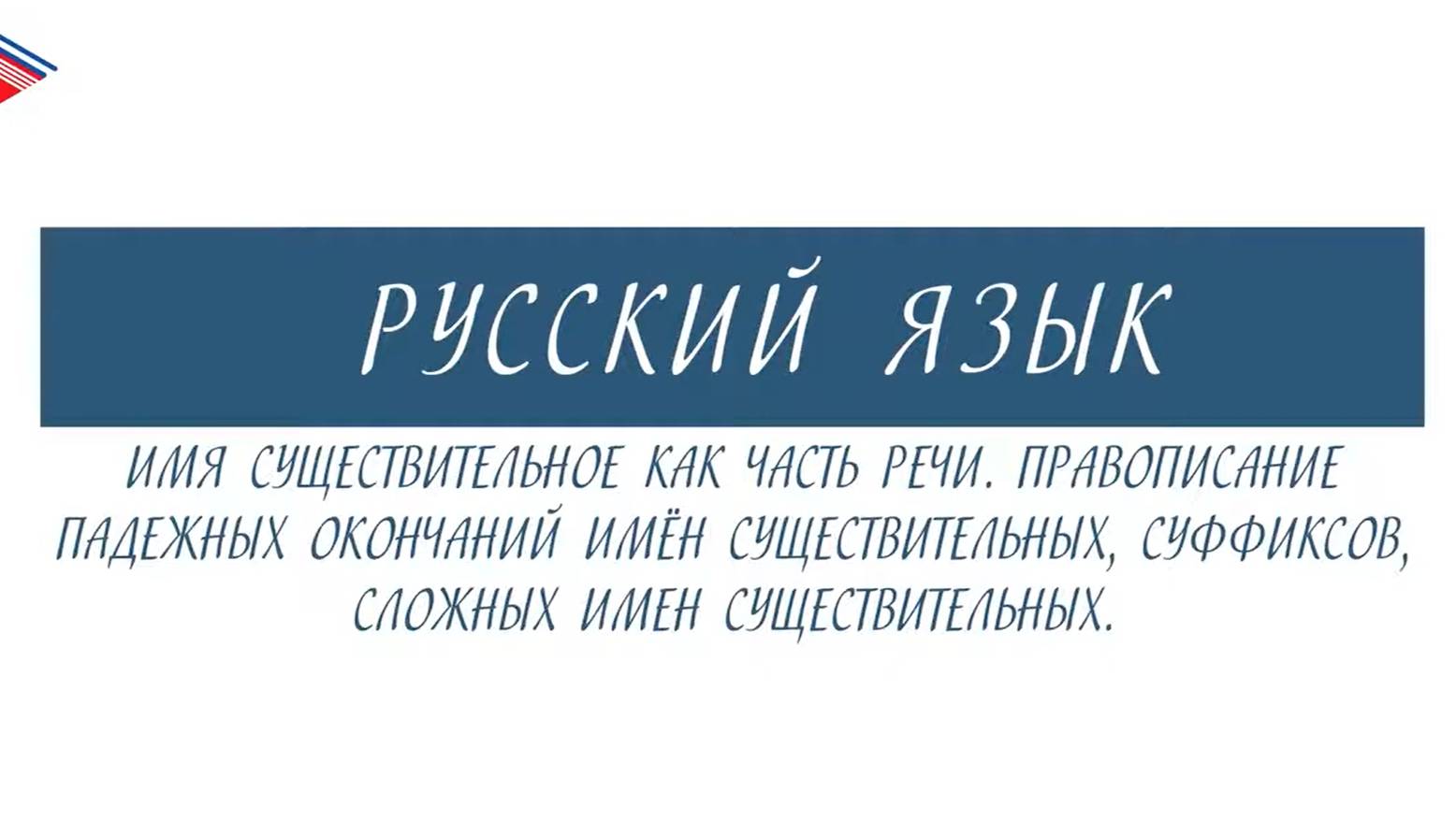 10 класс - Русский язык - Имя существительное. Правописание падежных окончаний, суффиксов