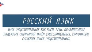 10 класс - Русский язык - Имя существительное. Правописание падежных окончаний, суффиксов