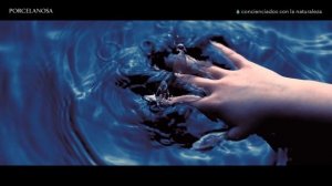 Экологическая осведомлённость   PORCELANOSA Grupo