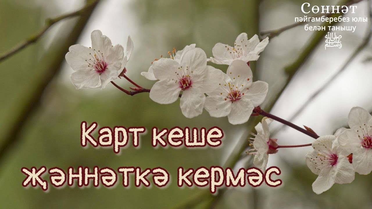 Карт кеше җәннәткә кермәс | Рамил Гәйнетдинов
