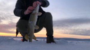 ДАВАНУЛО ВОДУ ЧУТЬ НЕ УПЛЫЛИ В ЗИМНЕЙ ПАЛАТКЕ НОЧЬЮ / ЗИМНЯЯ РЫБАЛКА НА ИЛИМЕ #Рыбалка