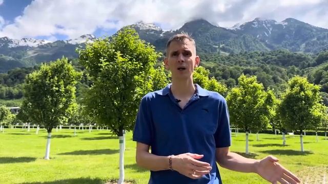 Плавание для триатлона Часть 3 Самое главное в плавании для триатлетов