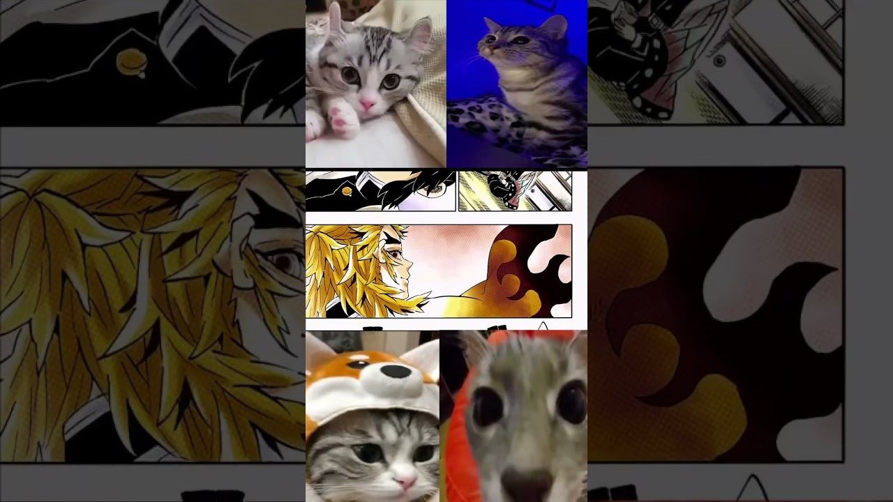 #tanjro #anime #hinokamitanjiro #demonslayer #mitsurikanjori #kimetsunoyaiba #аниме #tanjirou #manga смотреть онлайн