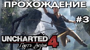 UNCHARTED 4: ПУТЬ ВОРА прохождение часть 3 (PS5) | #Uncharted 4: A Thief’s End