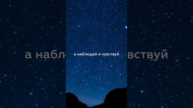 ЧЕХОВ ПРО ЖИЗНЬ #цитаты #мудрость #философия #мудрыеслова #аудиокнига #читаетбольшешальский #цитата