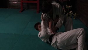 Тайхо-дзюцу