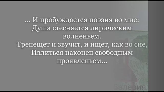 Культурный регион