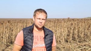 Отзыв о жатке Orange Seed для подсолнечника — КФХ Ковалев Ростовская область