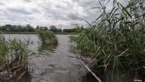 НАКОСИЛ РЫБУ С ПОМОШЬЮ КОСЫ, РЫБАЛКА НА КАРАСЯ, ЛОВЛЯ РЫБЫ, хороший клёв