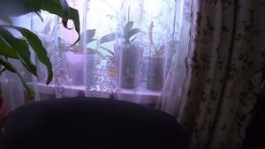 Кино не для всех / Встала не с ТОЙ ноги 19 октября 2022 г.