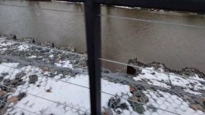 В поиске сказочной тропы 17.12.24.