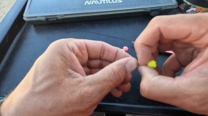 Юбилейный кубок Миненко, турнир по трём крупным рыбам, рыбалка на сазана и карпа