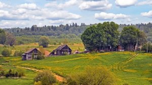 ИНТЕРЕСНАЯ ИСТОРИЯ ПРОИЗОШЕДШАЯ В ДЕРЕВНЕ.