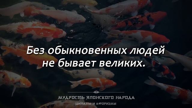 Короткие, но Невероятно Точные Японские Пословицы и Поговорки...