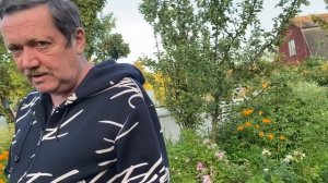 Прививки Бориса / Жизнь на даче / Сезон дождей в Подмосковье 25-26.06.2023 июня 2023 г.