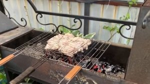 Приехал Дмитрий/ Вечерний шашлык / Укоротила сарафан / Уехал Борис 29 июня 2024 г.