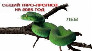 ЛЕВ ОБЩИЙ ТАРО-ПРОГНОЗ НА 2025 ГОДА