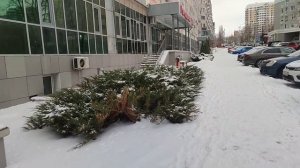 Променад по Белгороду 16.12.24.
