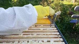 Выбираем медовые рамки для откачки мёда ! Какие медовые рамки подходят для откачки мёда !