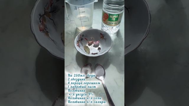 Маринованные луговые опята🍄🟫 #лето #грибы #вкуснаяеда #опятанаучастке #отличноенастроение