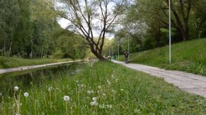 СПИЛИЛ РОГА ЗА 1 СЕКУНДУ – СЕКРЕТ ЖЕНЫ. Интересные истории измен. Жизненные истории – семейная жизн