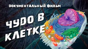 ЧУДО В КЛЕТКЕ - Документальный фильм