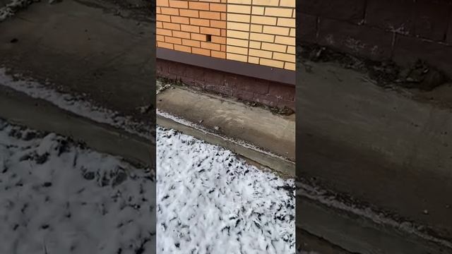 Проверка дома перед покупкой. Проверка отмостки. Технадзор и контроль стройки.
