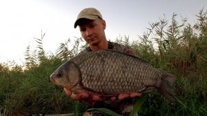 КРУПНЫЙ КАРАСЬ НА Flat Method Feeder + РЫБАЛКА НА ПОПЛАВОК