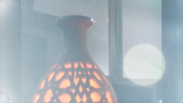 Из Cибири в Варкалу! смотреть онлайн