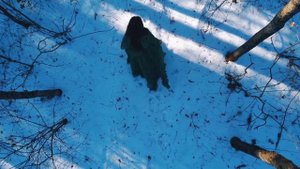 Сосновый бор, поселок Хороль