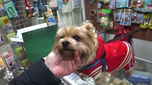 СВАО опасная детская площадка / Женька / Подхарчилась на помойке / Гнусавосердитые 8 декабря 2022 г.