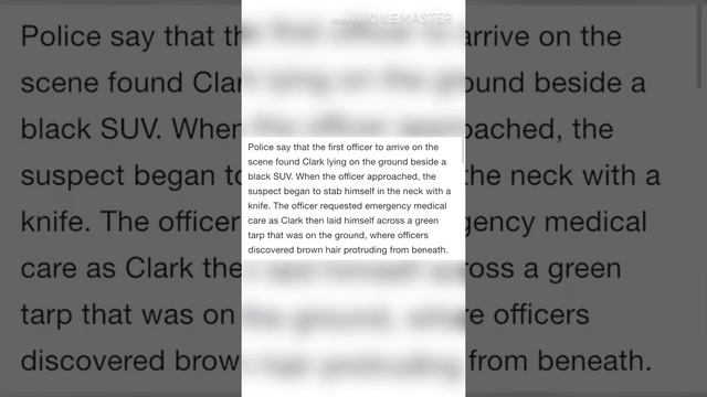 Instagram star killed by crazy obsessed stalker #brandonandrewclark #biancadevins смотреть онлайн