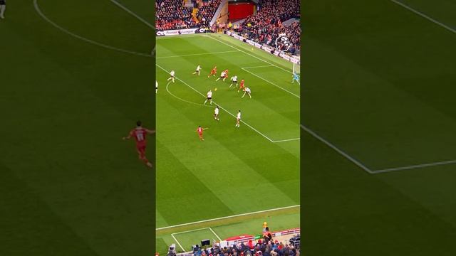 Mo Salah's AMAZING assist for Cody Gakpo!